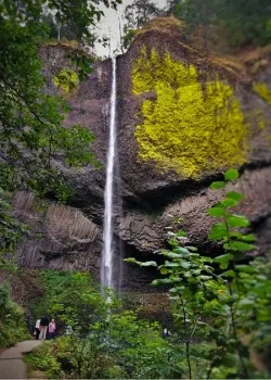 Latourell Falls Columbia Gorge Waterfall Area Oregon