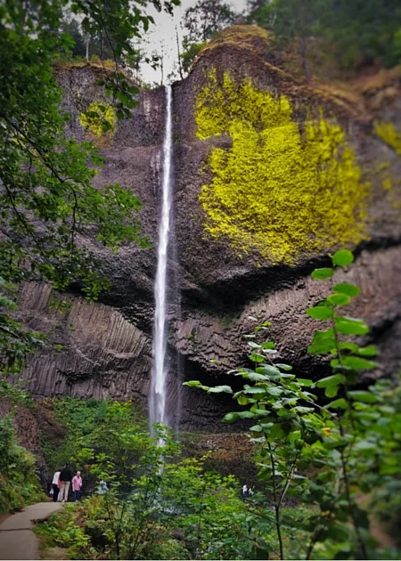 Latourell Falls Columbia Gorge Waterfall Area Oregon