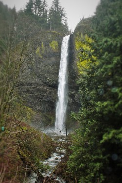 Latourell Falls Waterfall Area Oregon 2traveldads.com