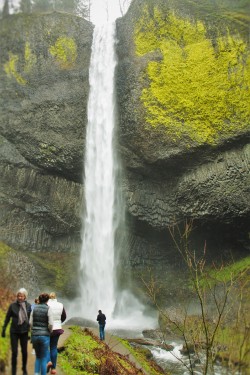 Latourell Falls Waterfall Area Oregon 4