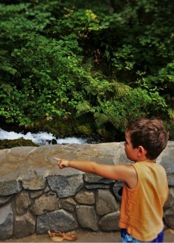 LittleMan at Wahkeena Falls Columbia Gorge Oregon
