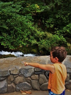 LittleMan at Wahkeena Falls Waterfall Area Columbia Gorge Oregon 1