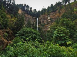 Multnomah Falls Waterfall Area Columbia Gorge Oregon 7