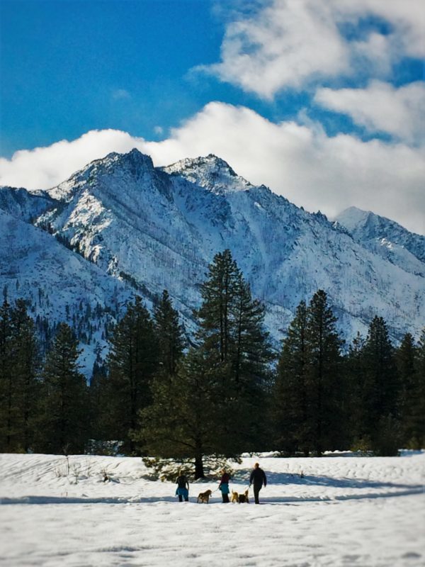 People Walking Huskies in Snow at Sleeping Lady Resort Leavenworth WA 2traveldads.com