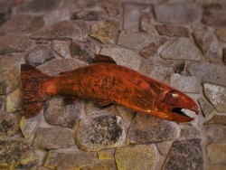 Salmon Wooden Carving Sculpture at Sleeping Lady Resort Leavenworth 2traveldads.com