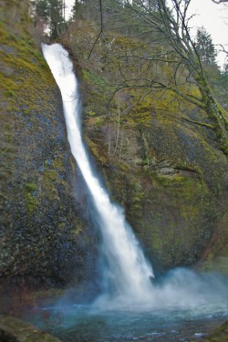 Splash Zone at Horstail Falls Waterfall Area Oregon 1