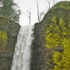 Top-of-Latourell-Falls-Columbia-Gorge-Oregon-225x225.jpg
