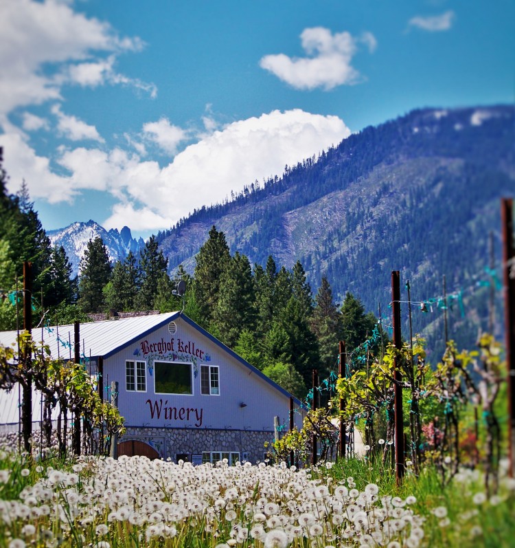 Things to do in Leavenworth, Washington the only guide you'll ever need