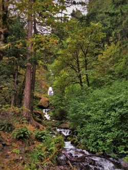 Wahkeena Falls Waterfall Area Columbia Gorge Oregon 1