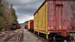 Box Cars in Railroad Graveyard Snoqualmie Washington 1