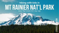 Hiking in Mt Rainier National Park is one of the most beautiful and fun experiences in Washington State. Hiking recommendations for any age. 2traveldads.com