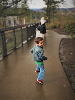 LittleMan Running at Snoqualmie Falls 1