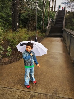 LittleMan and Umbrella at Snoqualmie Falls in Rain 1