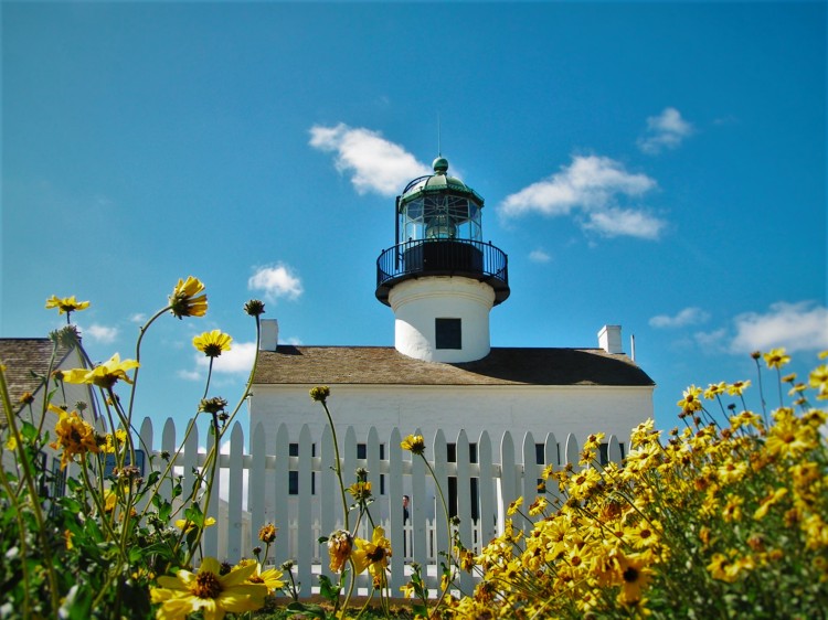 25+ of the Most Beautiful Lighthouses in the USA You Have To Visit