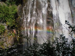Narada Falls Rainbow Mist in Mt Rainier National Park 2traveldads.com