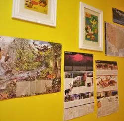 National Parks Maps in LittleMans Bedroom