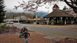 Old Snoqualmie Train Depot with Cherry Blossoms Washington 10 (1)