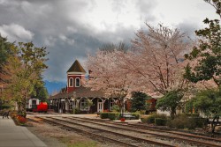 Old Snoqualmie Train Depot with Cherry Blossoms Washington 10