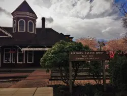 Old Snoqualmie Train Depot with Cherry Blossoms Washington 13