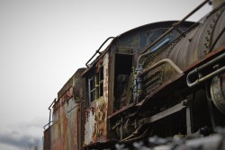 Old Steam Engine at Railroad Graveyard in Snoqualmie Washington 3
