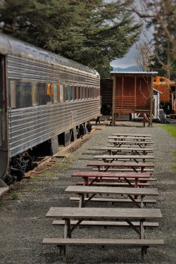 Picnic Area at Old Snoqualmie Train Depot with Cherry Blossoms Washington 1