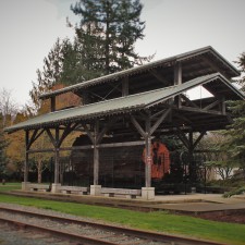 Preserved-Cedar-Stump-Logging-Display-in-Snoqualmie-Washington-1-225x225.jpg