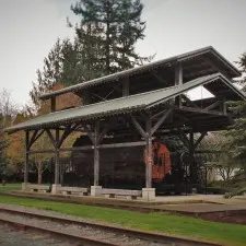 Preserved Cedar Stump Logging Display in Snoqualmie Washington 1
