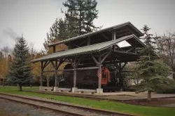 Preserved Cedar Stump Logging Display in Snoqualmie Washington 1