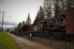 Railroad Graveyard in Snoqualmie Washington 3