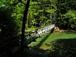 Suspension Bridge over Ohanapecosh River Mt Rainier National Park 2traveldads.com