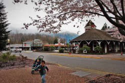 Taylor Kids with Old Snoqualmie Train Depot with Cherry Blossoms Washington 1
