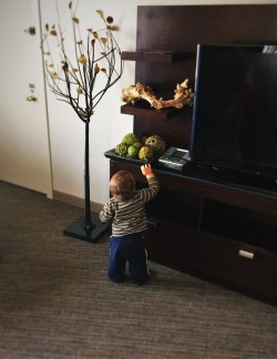 TinyMan Grabbing at decor in Luxury Suite at Westin Seattle 1