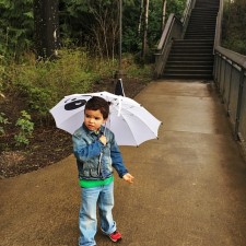 LittleMan and Umbrella at Snoqualmie Falls in Rain 1