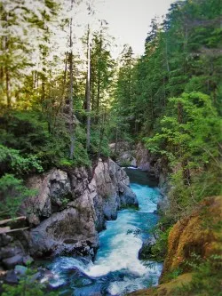 Upper Christine Falls in Mt Rainier National Park 2traveldads.com