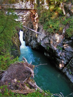 Upper Christine Falls with Footbridge in Mt Rainier National Park 2traveldads.com