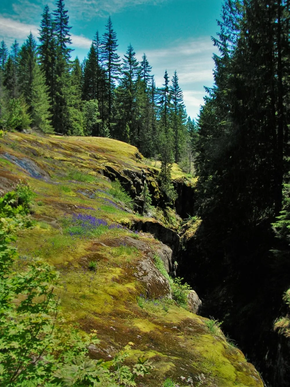 Van Trump Creek Gorge in Mt Rainier National Park 2traveldads.com