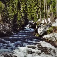 Van Trump Creek above Narada Falls in Mt Rainier National Park 2traveldads.com