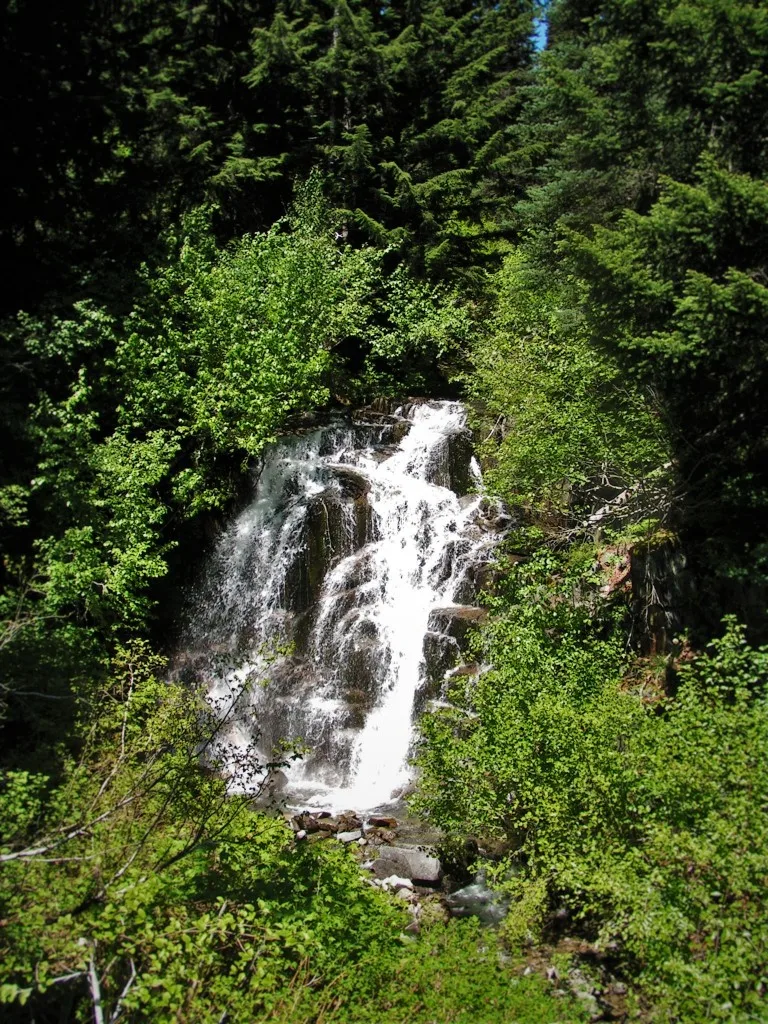 Van Trump Creek in Mt Rainier National Park 2traveldads.com