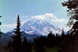 View from Lake Eunice Lookout in Mt Rainier National Park 1