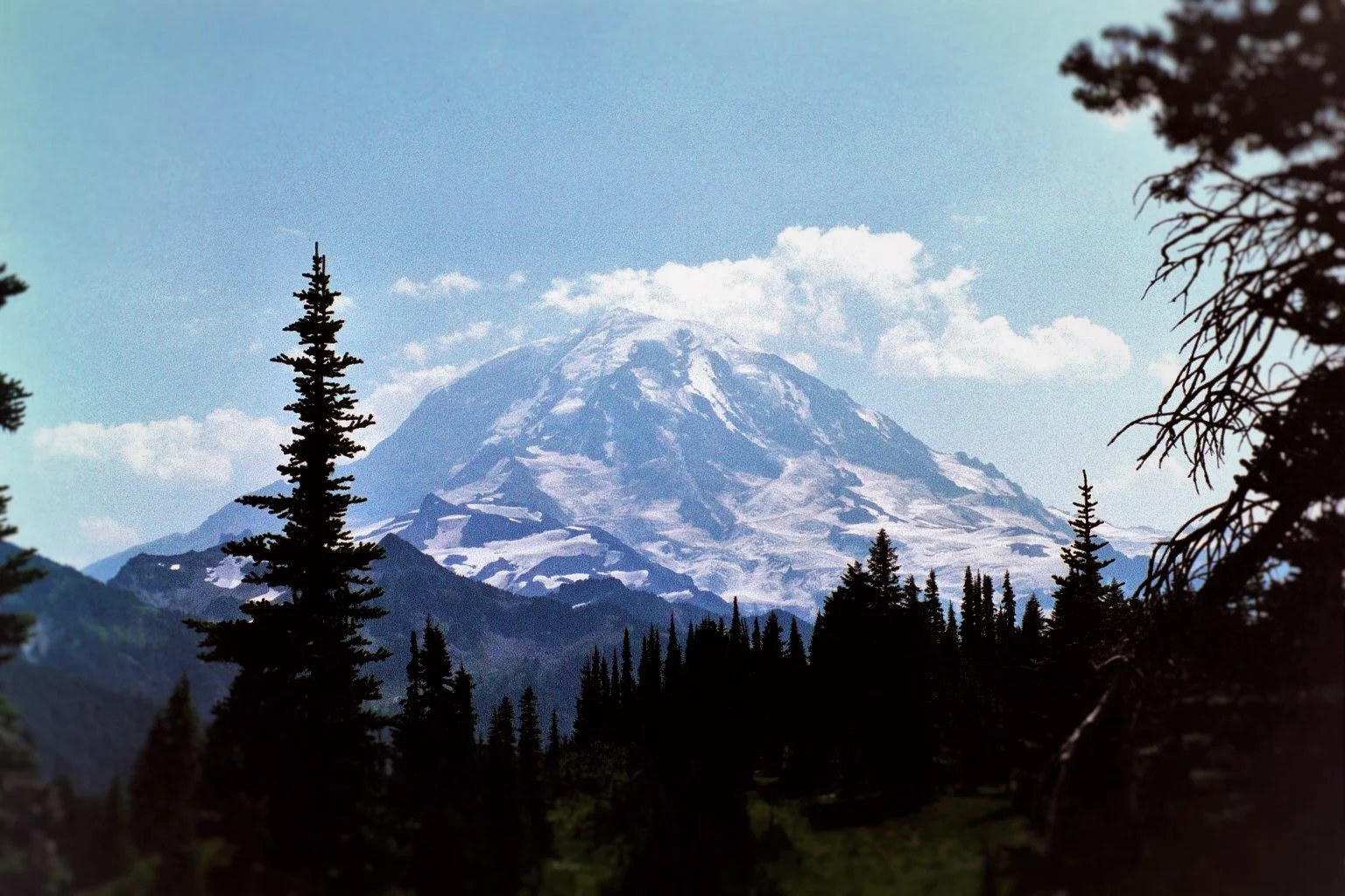 View from Lake Eunice Lookout in Mt Rainier National Park 1