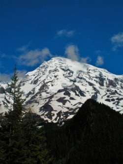 View from Longmire in Mt Rainier National Park 2