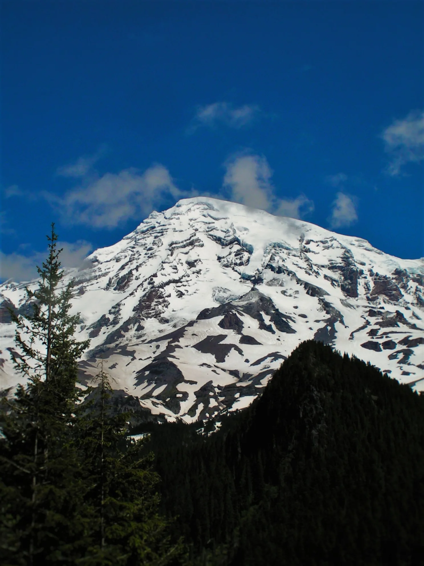 View from Longmire in Mt Rainier National Park 2