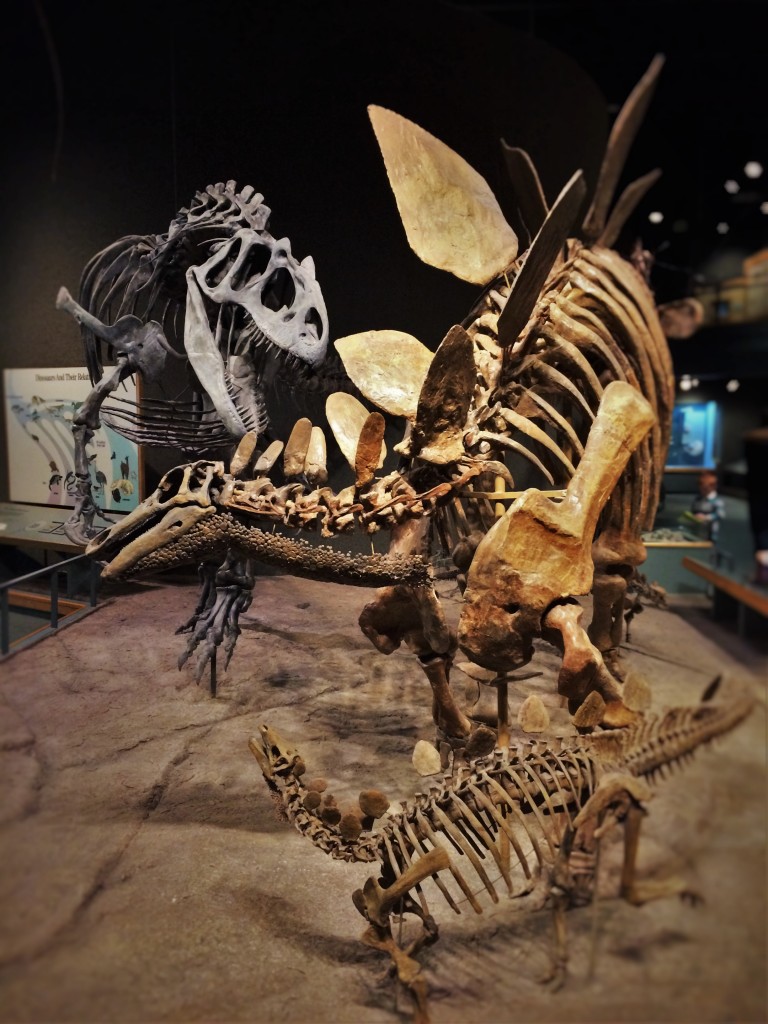 dinosaur bones exhibit near me