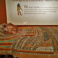 Ancient Mummy Case in Denver Museum of Science and Nature 1