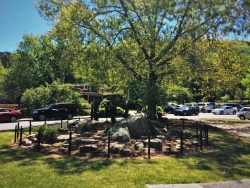 Cannon and Visitor Center at Kennesaw Mountain National Battlefield 2traveldads.com