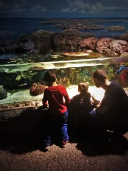 Chris Taylor and Dudes at tropical tank at Denver Downtown Aquarium 4