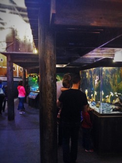 Chris Taylor and Dudes in Wharf Themed area at Denver Downtown Aquarium 1