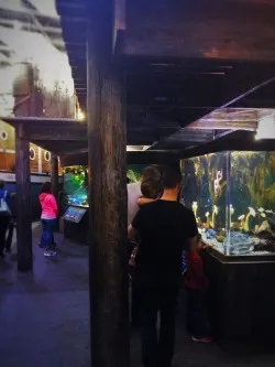 Chris Taylor and Dudes in Wharf Themed area at Denver Downtown Aquarium 1