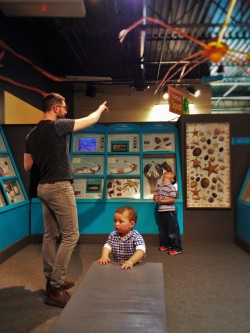 Chris Taylor and Dudes learned about sea shells at the Butterfly Pavilion Denver Colorado 1