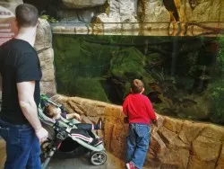 Chris Taylor and Dudes with River tanks at Denver Downtown Aquarium 1
